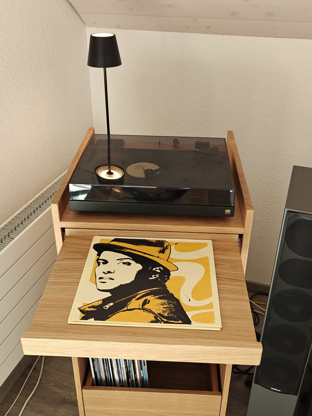 Plattenhülle auf der ausziehbaren Ablage